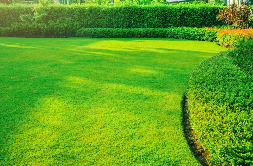 Finished lawn and garden landscape design