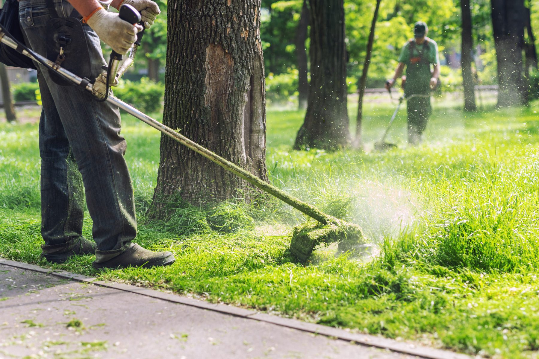 Landscaping Starter Kit